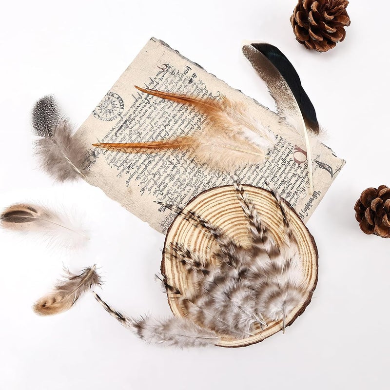 MehelloFeather Store Natural Pheasant Feathers 6 Style Craft Feathers for Dream Catcher Decoration Craft Natural Mixed Feathers (180Pcs) - Image 4